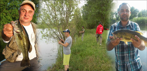 Амер доводи русе у Ратково